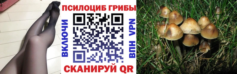 Галлюциногенные грибы Psilocybine cubensis Ленинск